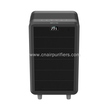 Home Air Purifier With Two Filtration